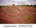 Soil erosion: eroding rill network on the hillside slope, brown or red and dry-loving vegetation