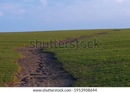 Soil erosion. The rains have eroded the soil in the agricultural field. Formation of ravines in the field due to rainwater runoff.