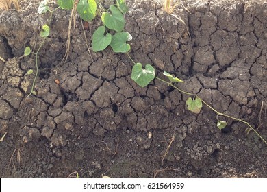 Soil Erosion Texture Background