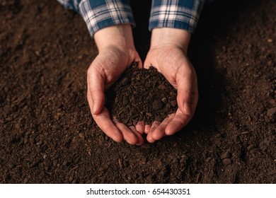 Soil Fertility Analysis As Agricultural Activity, Female Farmer Holding Arable Ploughed Dirt In Cupped Hands