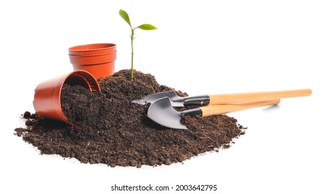 Soil And Gardening Tools On White Background