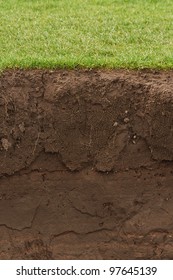 Soil And Grass Cross Section