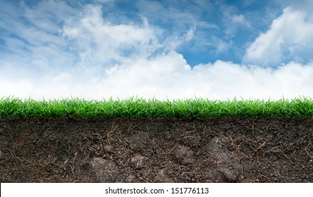 Soil And Green Grass In Blue Sky