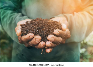 soil in hands