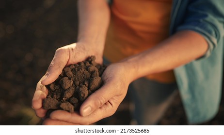 soil in the hands of the farmer. agriculture. close-up a of farmers hands holding black soil in their hands, fertile land. sun garden field ground fertile concept. worker holding soil plowed field - Powered by Shutterstock