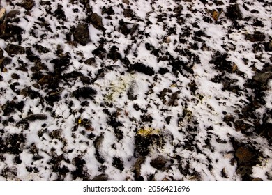 Soil And Land On The Severnaya Zemlya Archipelago