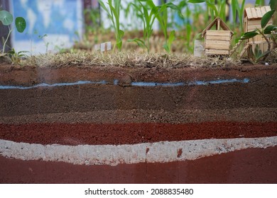 Soil layer around the agricultural plot.
