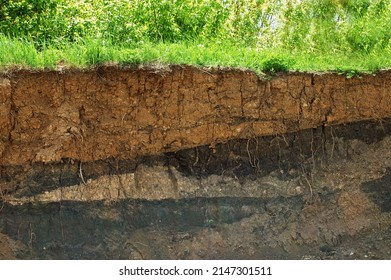 The soil. Soil layer in section.