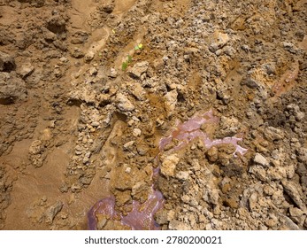 soil layer section of acid soil.