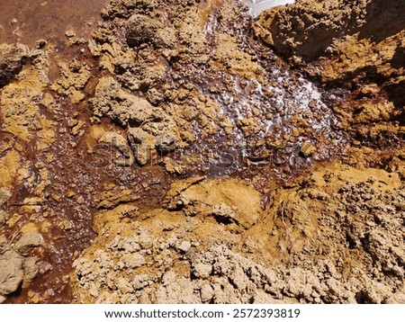 soil layer section of acid soil.