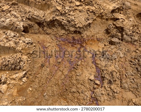 soil layer section of acid soil.