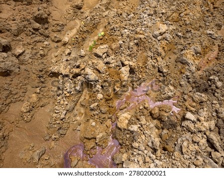 soil layer section of acid soil.