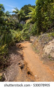 Soil Liquefaction And Landslide After Earthquake 