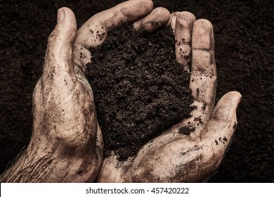 Soil In Male Hands