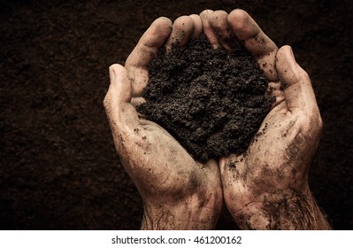 Soil in male hands