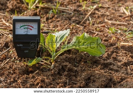Soil meter for check the fertility value in soil a of green organic leafy vegetables plant , Agriculture technology concept.