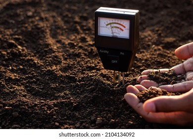 A soil meter and a farmer's hands are picking up soil for planting. - Shutterstock ID 2104134092