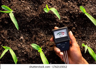 Soil Meter Is Used On Loam For Planting, Measure Soil Acidity.