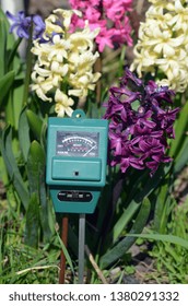 Soil moisture, light and PH meter for small private garden.
