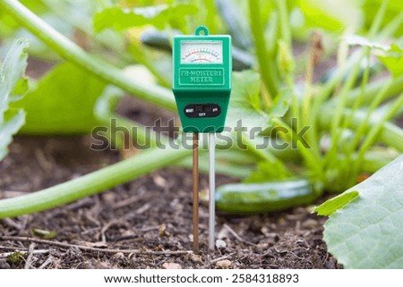 Soil moisture meter and ph meter testing the ground in a UK vegetable garden