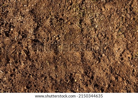 Soil with new grass seeds, brown gound texture bg