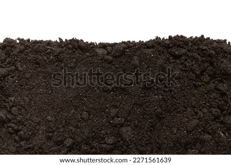 Soil patch texture isolated. Earth Day - April 22