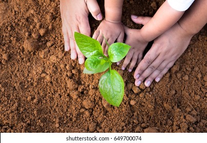 Soil Planting and Seeding concept,Close up kid hand and father planting young tree top view