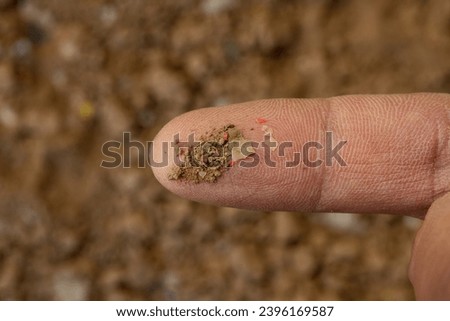 Soil pollution, microplastic contamination in the soil on geologist's finger