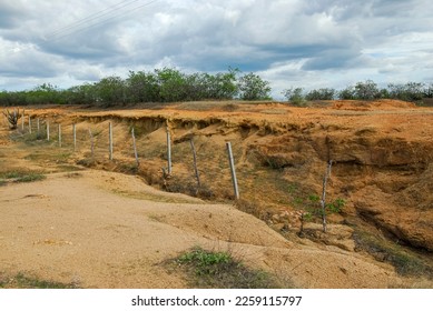 Soil in the process of desertification in the northeastern semi-arid region. Pombal, Paraiba, Brazil on November 13, 2011. - Powered by Shutterstock