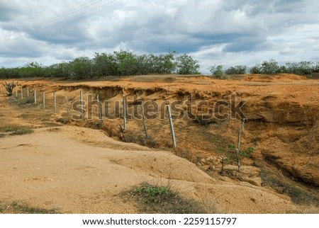 Soil in the process of desertification in the northeastern semi-arid region. Pombal, Paraiba, Brazil on November 13, 2011.