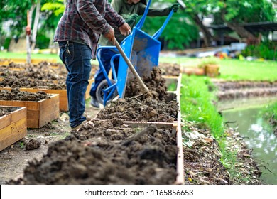 Soil In Rectangle Flowerpot Is Prepared For Homegrown Vegetable Planting In The Garden.