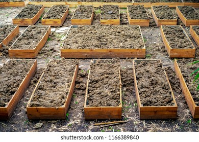 Soil In Rectangle Flowerpot Is Prepared For Homegrown Vegetable Planting In The Garden.