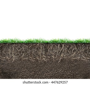 Soil With Roots And Grass Isolated