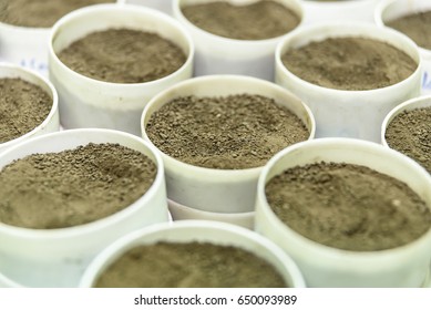 Soil Samples For Testing In The Laboratory