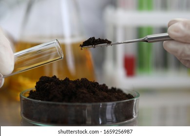 Soil sampling for chemical analysis and ph test. Agrochemical analysis soil and greenhouse soil for fertility. Assessment soil contamination with toxic substances. Selection fertilizers - Shutterstock ID 1659256987