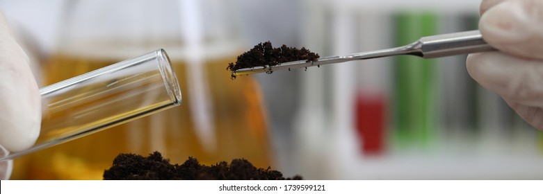 Soil sampling for chemical analysis and ph test. Agrochemical analysis soil and greenhouse soil for fertility. Assessment soil contamination with toxic substances. Selection fertilizers - Shutterstock ID 1739599121
