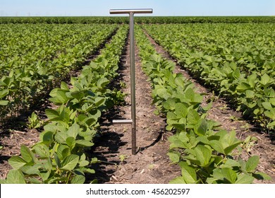 Soil Sampling In Soybeans