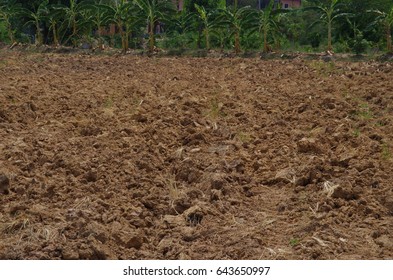 Soil Scarification In Agricultural Field.