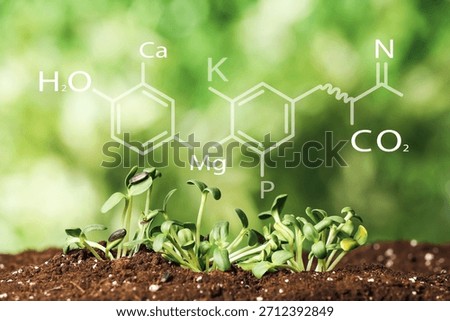 Soil with specified components and young plants growing in field