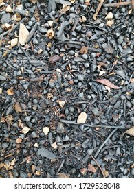 Soil, Stone Fragments, And Charred Wood Chips