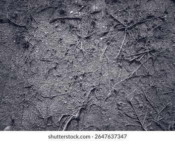 Soil Surface with Dead Grass Texture