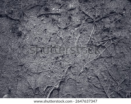 Soil Surface with Dead Grass Texture