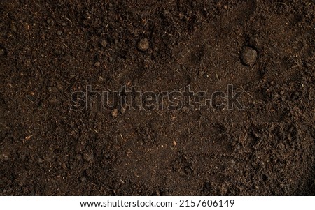 Soil surface texture background. top view