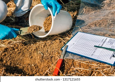 Soil Testing. Agronomy Specialist Taking Soil Sample For Fertility Analysis. Hands In Gloves Close Up.  Environmental Protection, Organic Soil Certification, Field Work, Research