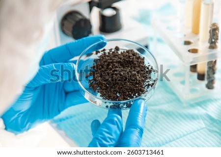 Soil testing in the laboratory. Selective focus. Nature.