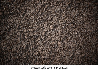 Soil Texture Background.