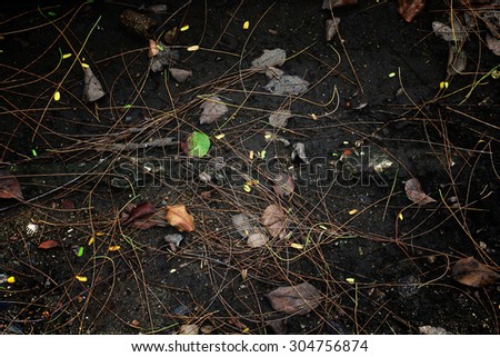 Similar – Foto Bild Ruhepol ruhig Umwelt Natur