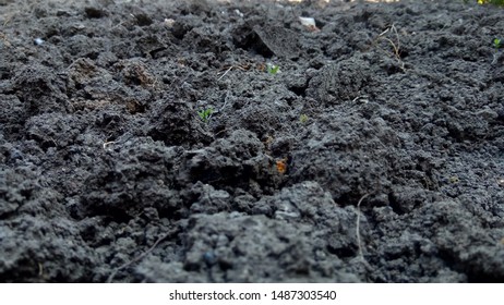Soil texture background, land agriculture - Shutterstock ID 1487303540