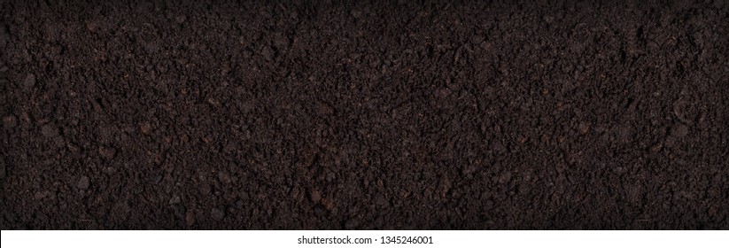  Soil Texture Background Seen From Above, Top View