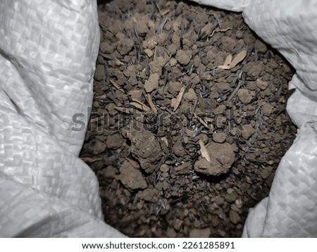 Soil that Recently Opened. 2years Since and It Looked So Dry